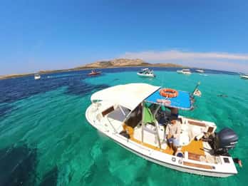 From Stintino: boat trip to Asinara