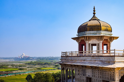 From Delhi: Golden Triangle Private Tour with Safari 7-days Golden Triangle Tour without Hotels & Tickets