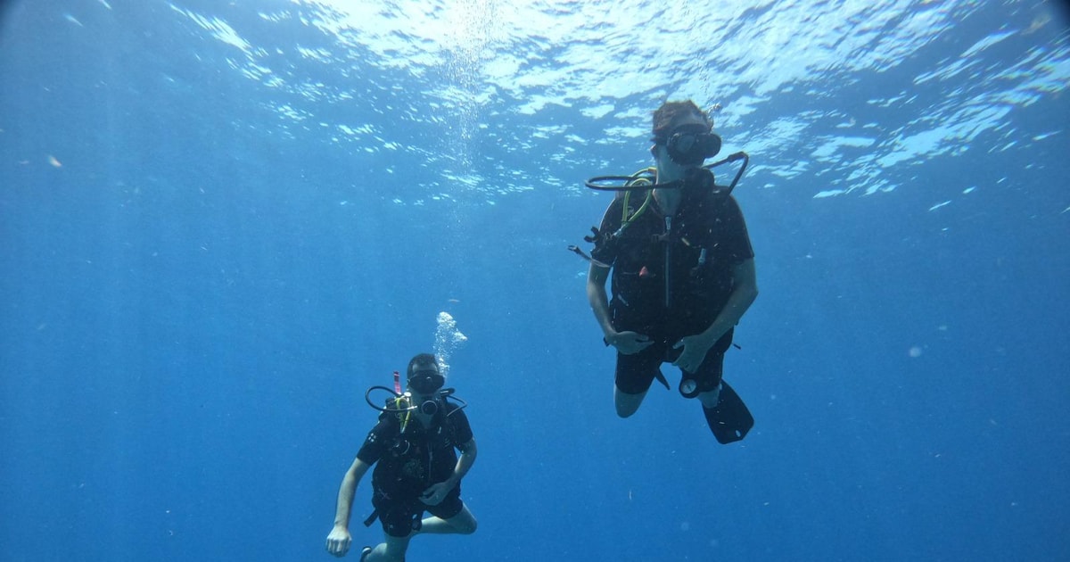 Discover Scuba Diving in Cozumel (Boat) | GetYourGuide