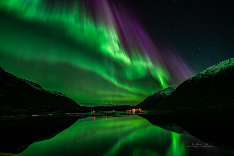 Tromsø:Northern Lights Tour with Photo and Suits.Local Guide Tromsø: Northern Lights Tour with Photos and Warm Suits