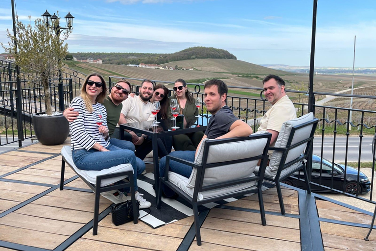 Epernay South - Half Day Visit and Champagne Tastings