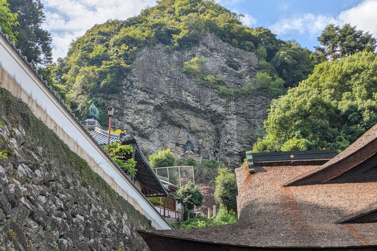 Nara: Mt. Ikoma Guided Hiking Tour with Cable Car and Views
