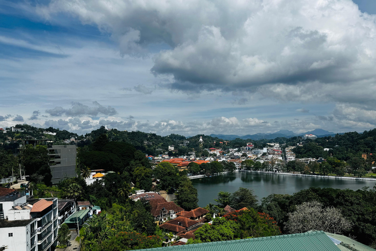 Vanuit Bentota: Kandy en Pinnawala Olifantenweeshuis TourKandy / Pinnawala rondreis vanuit Galle Hikkaduwa Mirissa Weligama