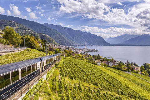Zurich: Hardcore Swiss Train Tour–4 Scenic Railways in 1 day Excluding Train Tickets