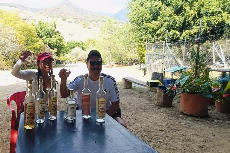 Oaxaca: Wild Agave Mountain Hike with Trail-Side Tasting