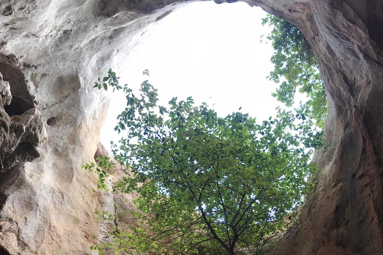 Krabi: Halvdagstur med mangrovebåt och Khao Khanap Nam-grottan