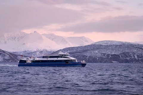 Tromsø: Crociera nei fiordi artici nei paesaggi polari