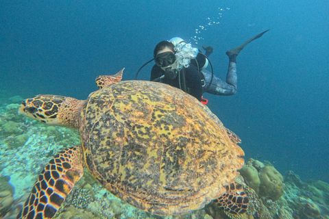 Tenerife - Discover Scuba Diving ervaring met instructeur