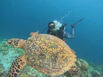 Tenerife - Discover Scuba Diving Experience with Instructor