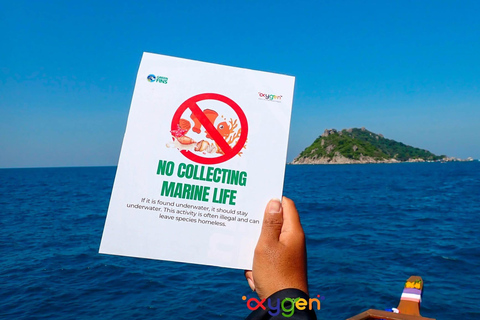 Koh Tao in a Day: Turtles, Hidden Reefs & Nangyuan Viewpoint