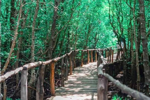 Spice Farm, Jozani Forest Red Colobus Monkeys & Salaam Cave Private Tour with Hotel Transfer (Entry Fees Not Included)