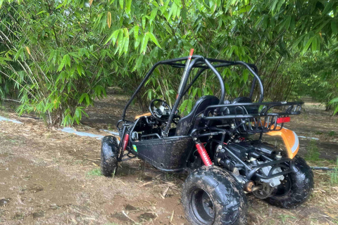 Bamboo Dune Buggy Tour