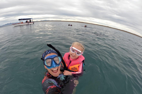 La Paz: Espíritu Santo Island & Whale Shark Day Trip