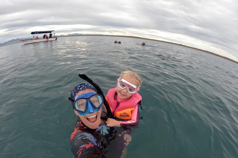 La Paz: Espíritu Santo Island & Whale Shark Day Trip