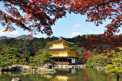 Japan: 7-Day Private Tour with Driver and Guide