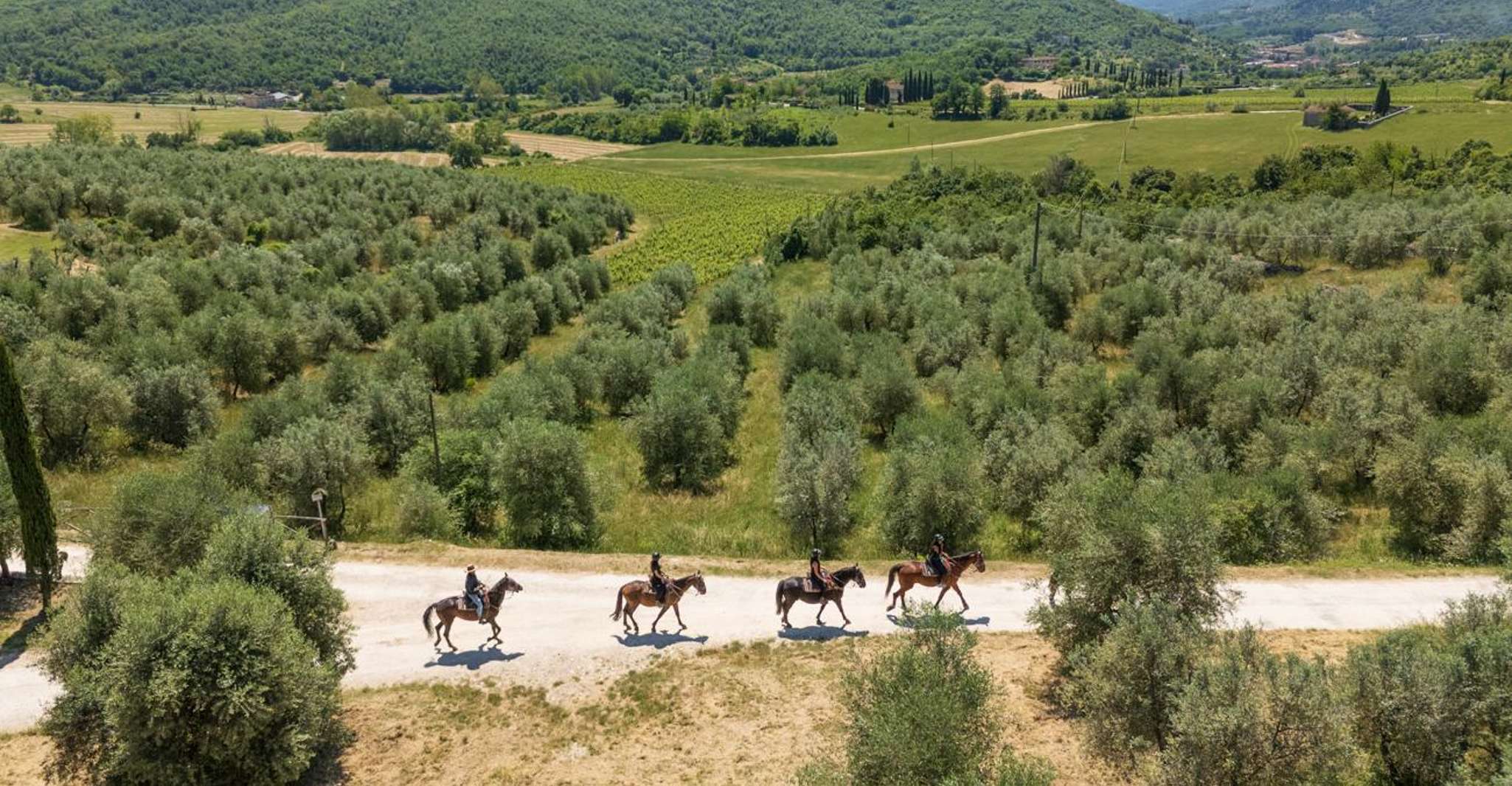 Florence: Horseback Riding Tour with Wine Tasting & Transfer photo 5