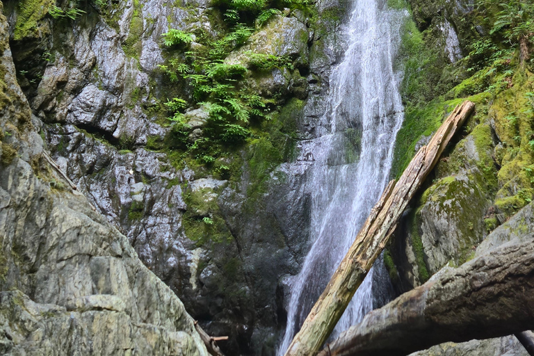 Victoria Waterfall, Skywalk, Beach Picnic, Castle and Whales Goldstream Waterfall, Skywalk, Trestle AND Castle interior