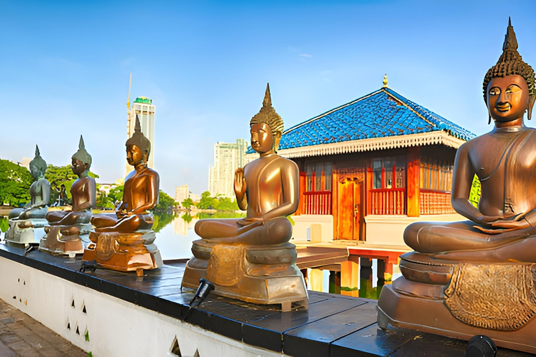 Colombo Airport Transfer with Private 4-Hour City Tour