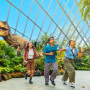 Singapore: Gardens by the Bay with Pickup Singapore: Gardens by the Bay with Pickup