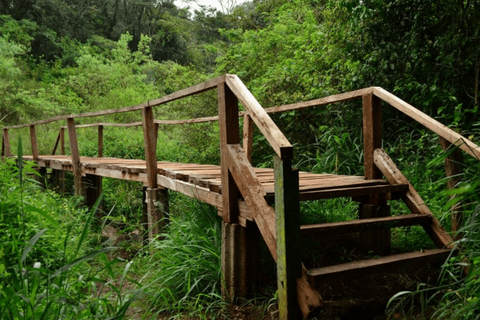 Nairobi: Ngong Hills Hike, Oloolua Nature Trail & Lunch