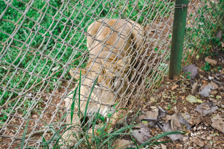 Visite à pied de Nairobi, visite du centre des girafes.Excursion d'une journée à Nairobi Safari Walk Giraffe Center.