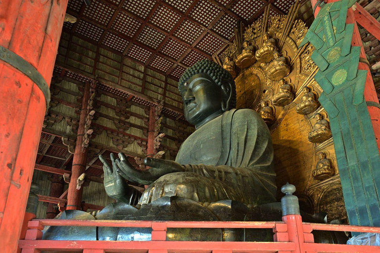 Vanuit Osaka: Dagtocht Kyoto en Nara met herten spotten