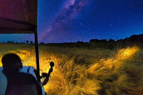 Cataratas Victoria: Safari para ver las estrellas en la sabana en 4x4