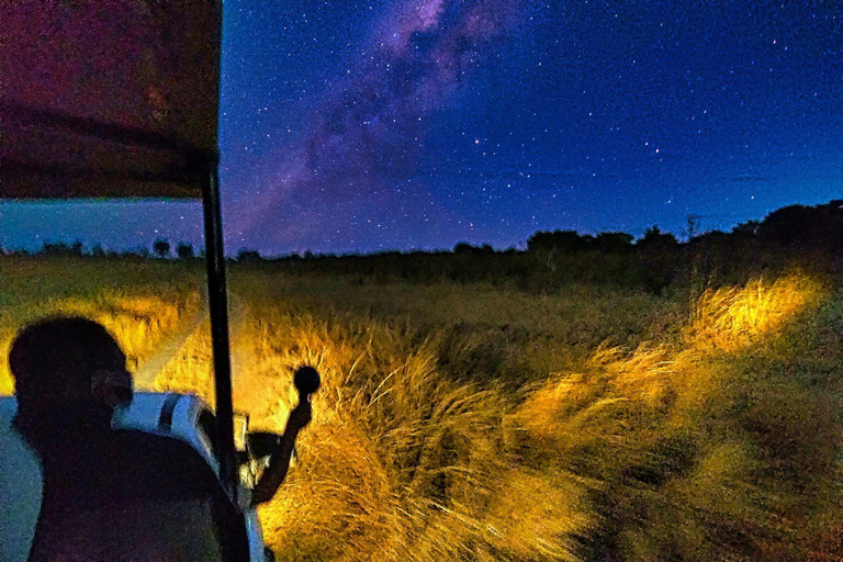 Chutes Victoria : Safari d&#039;observation des étoiles dans la brousse en 4x4