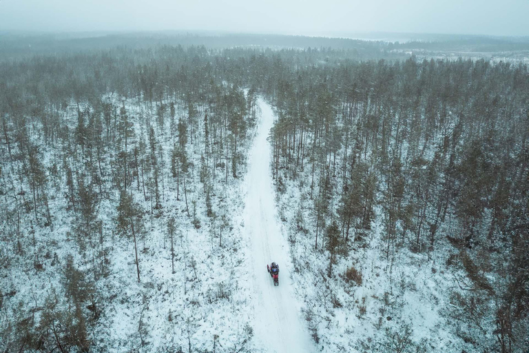 Rovaniemi: Early Winter 2 Hour Snowmobile Safari