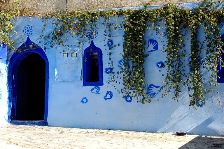 Vanuit Fez: Dagtrip Chefchaouen met chauffeur met groep van 8