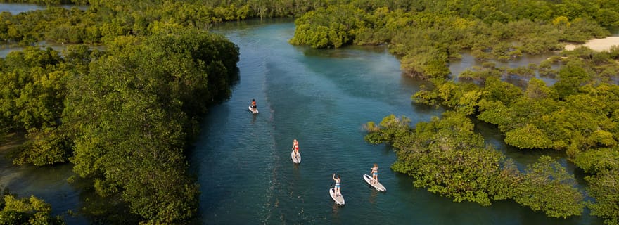 Zanzibar : Visite guidée unique de la mangrove en SUP ou en kayak