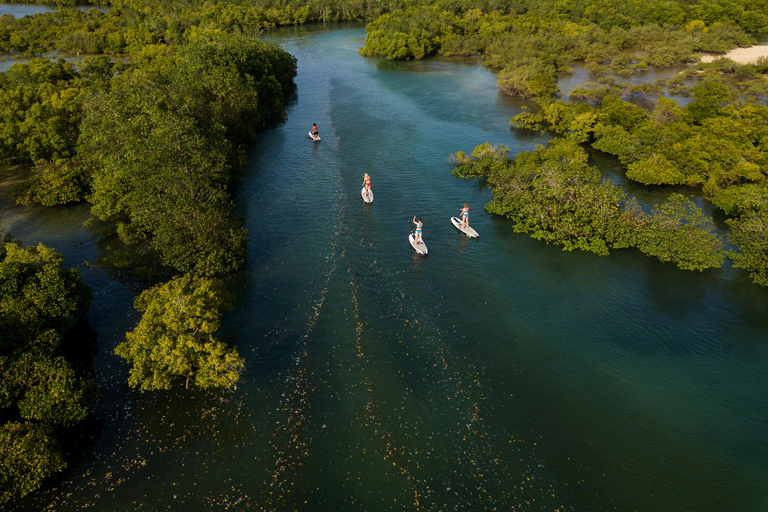 Zanzibar: Unik guidad mangrovetur med SUP eller kajak