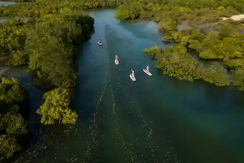 Zanzibar: Unique Guided Mangrove Tour by SUP or Kayak