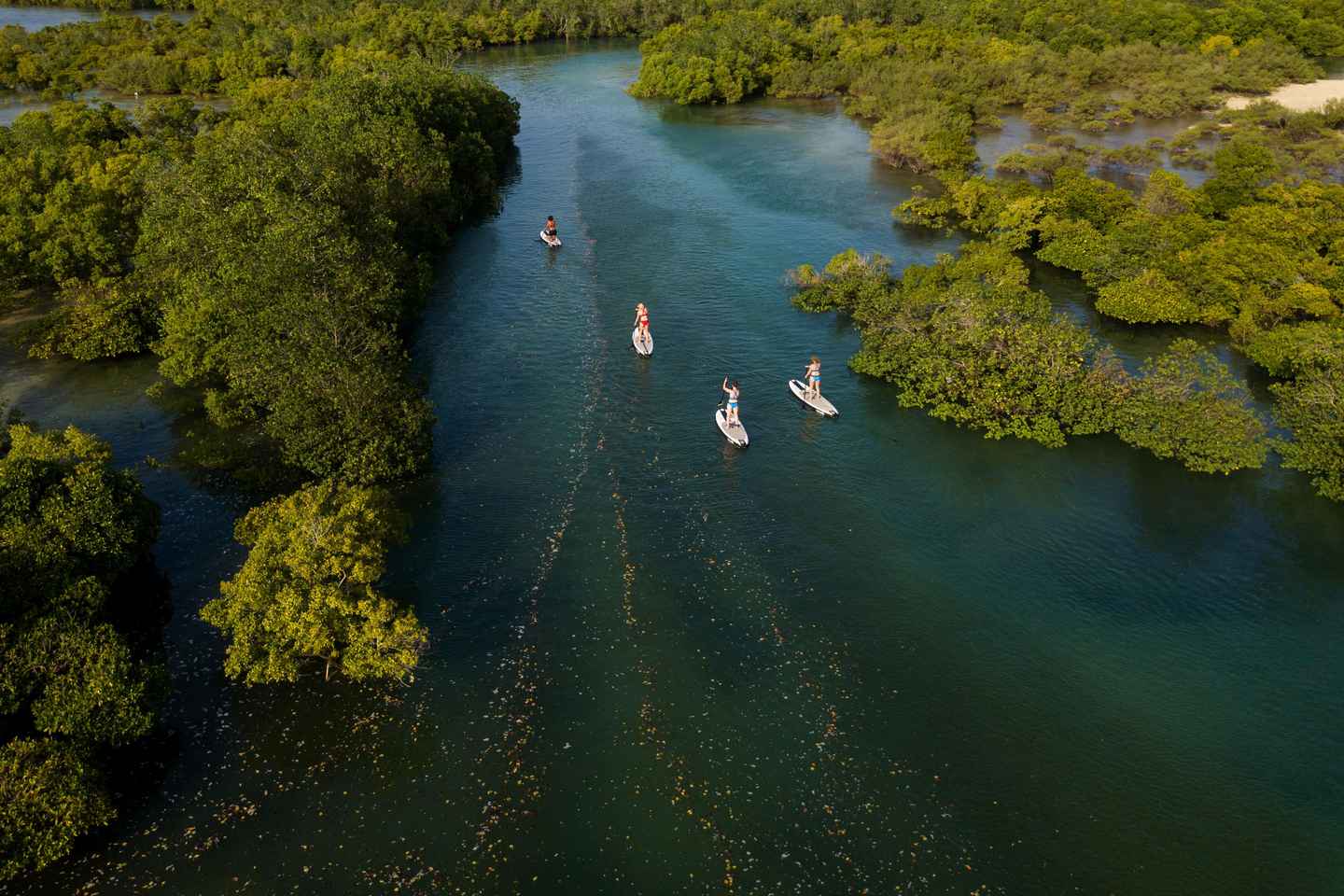 Zanzibar: Unique Guided Mangrove Tour by SUP or Kayak - Zanzibar: Unique Guided Mangrove Tour by SUP or Kayak