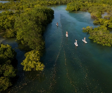 Zanzíbar: Excursión guiada única por los manglares en SUP o Kayak