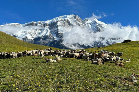 Nepal: Sikles Village and Kapuche Glacier Lake TrekPackaged Tour