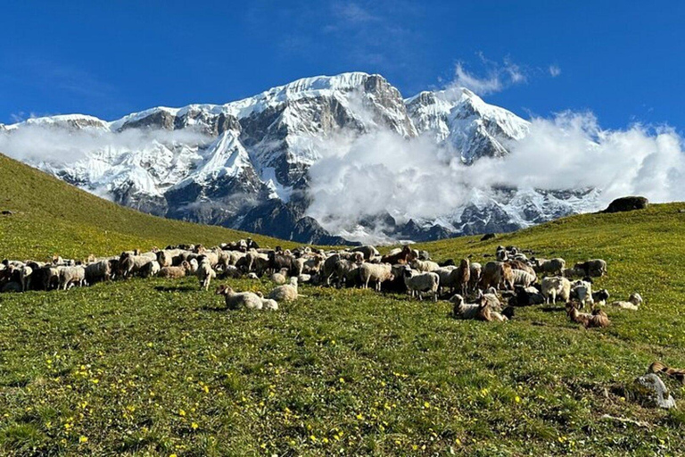 Nepal: Sikles Village and Kapuche Glacier Lake TrekPackaged Tour