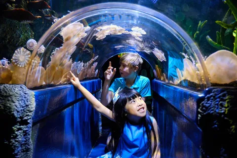 SEA LIFE Aquarium Entrance Ticket