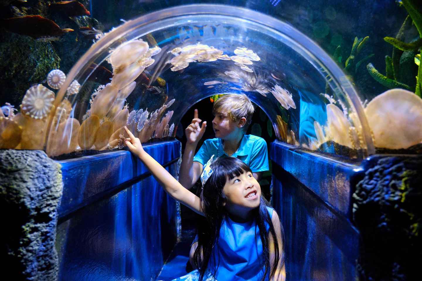 Melbourne: SEA LIFE Aquarium Entrance Ticket - General Admission - Weekday