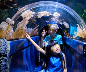 SEA LIFE Aquarium Entrance Ticket
