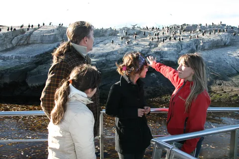 Ushuaia: National Park, Train and Navigation. Airport transfer included