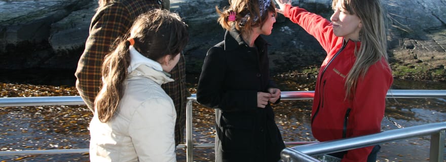 Ushuaia : Parc national, train et navigation. Transfert aéroport inclus