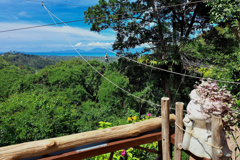 From Koh Samui: Tree Bridge Zipline and Café Experience