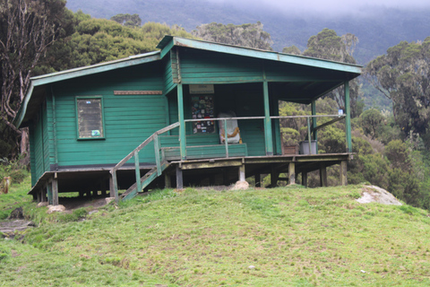 Uganda: Rwenzori Mountains Trekking Tour