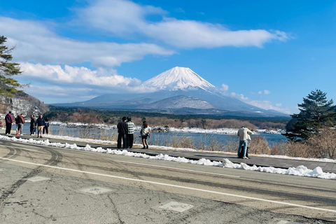 From Tokyo: Mount Fuji Private Customized Day Tour by Van Mt. Fuji & Hakone Full Day Private Customized Tour