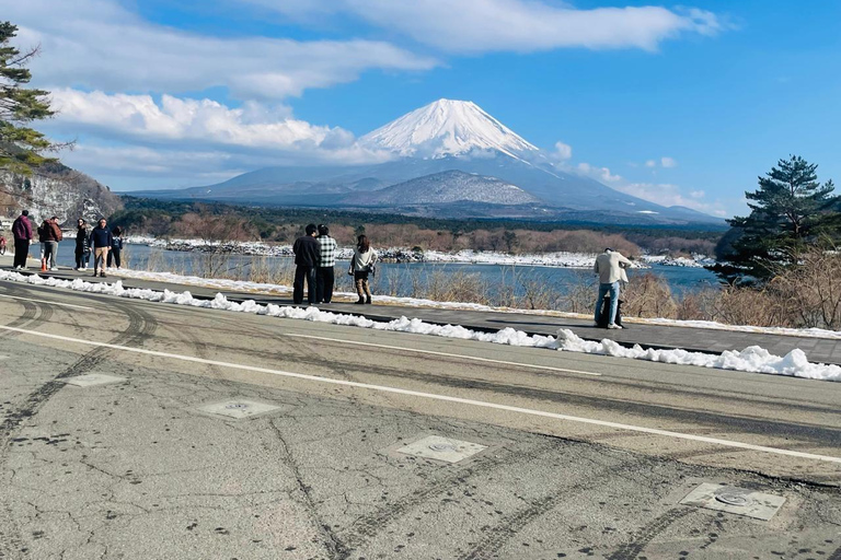 From Tokyo: Mount Fuji Private Customized Day Tour by Van Mt. Fuji & Hakone Full Day Private Customized Tour