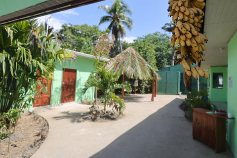 Parc national de Cahuita et jardin tropical de Maratopia