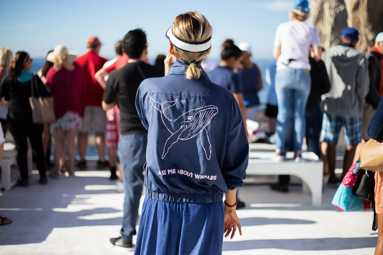 Cabo San Lucas: Rejs z obserwacją wielorybówCabo San Lucas: Rejs śniadaniowy z obserwacją wielorybów