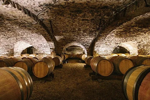 Besuchen: Vom Château des Thorins zum Château du Moulin-à-Vent