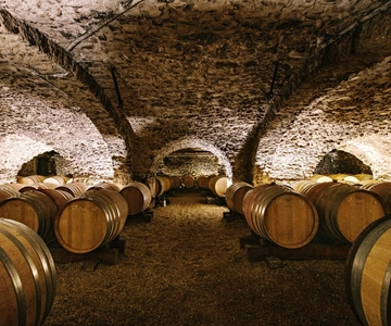 Visit : From Château des Thorins to Château du Moulin-à-Vent